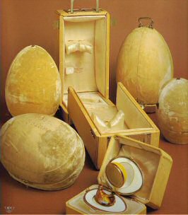 Egg cases